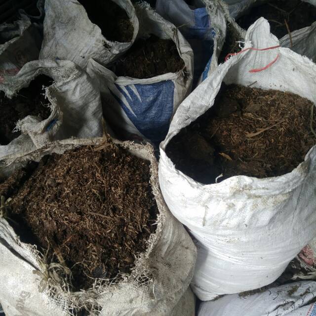 Pupuk Kandang Organik