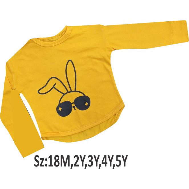 Baju Anak Long Sleeve Lengan Panjang Little Hippo / Kaos anak long sleeve Littlehippo Long Sleeve