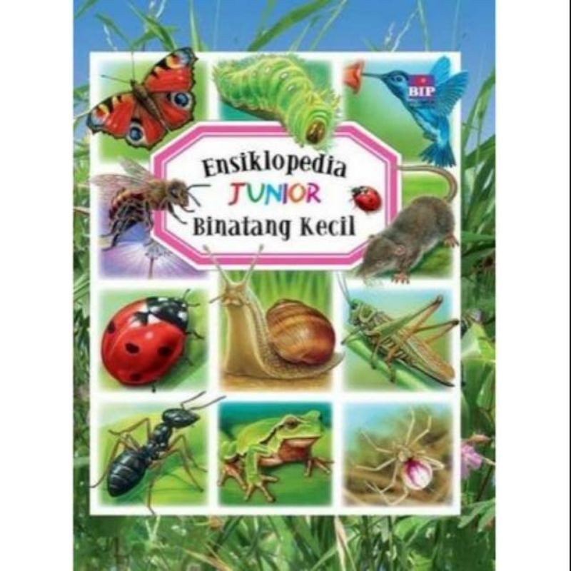 Ensiklopedia Junior : Binatang Kecil