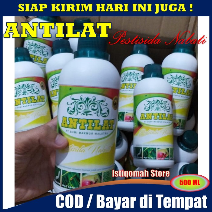 ANTILAT 500ml Pestisida Nabati Insektisida Pembasmi Tungro - Obat Semprot Hama Tungro - Pestisida Untuk Tungro - Insektisida Untuk Penyakit Tungro Pada Padi - Pestisida Tungro - Pestisida Untuk Penyakit Tungro pada Tanaman Padi PALING AMPUH TERLARIS