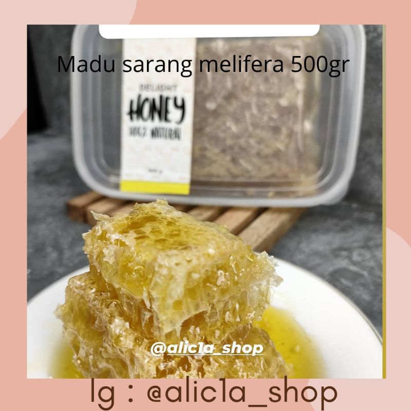 

Madu Sarang Melifera