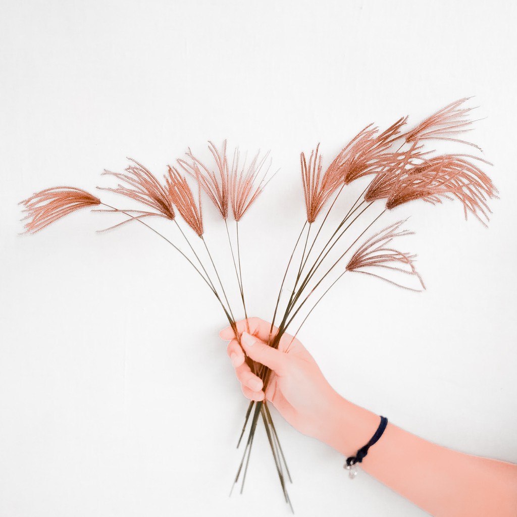 ILALANG CEKER AYAM RUSTICK RUSTIK BELULANG HIASAN SESERAHAN DEKORASI RUSTIK