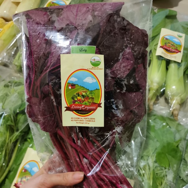 

Bayam Merah Sayuran Organik 200 Gr