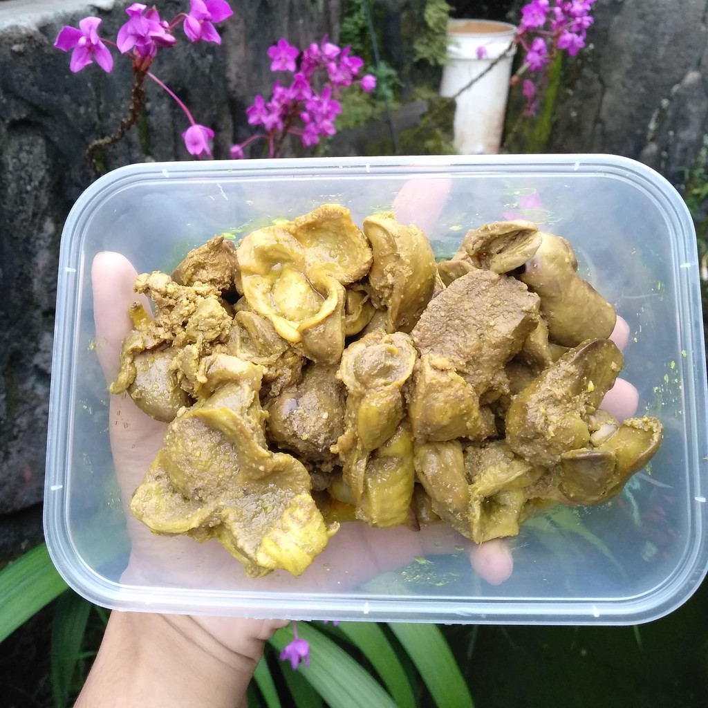 

ATI AMPELA UNGKEP (10 Potong Besar) (Tinggal Goreng) (bisa vakum)