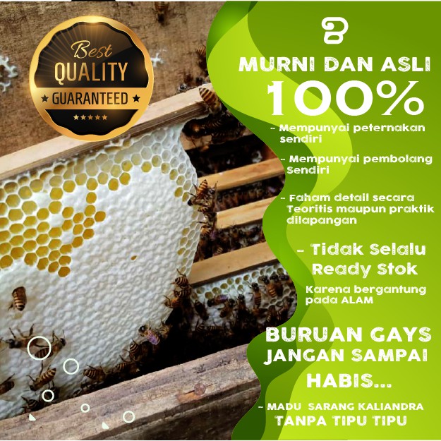 

Madu Sarang 1KG lebah lokal Nektar Kaliandra