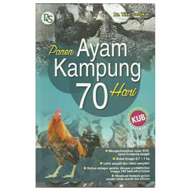 

PANEN AYAM KAMPUNG 70 HARI