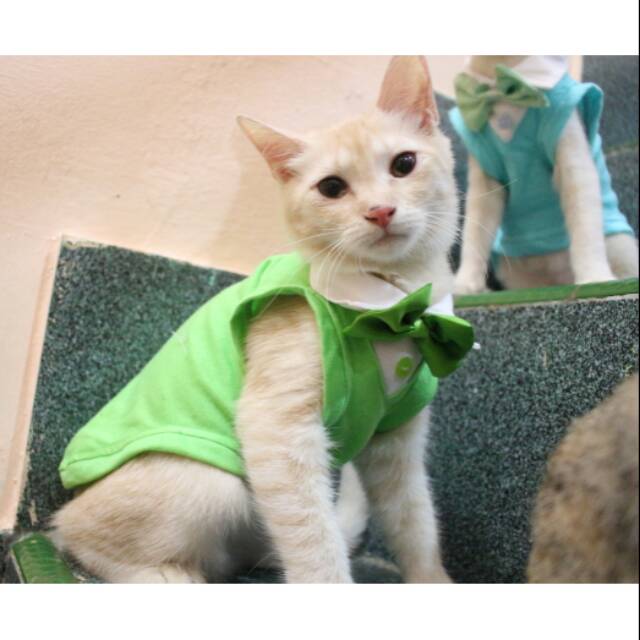 Kaos tuxedo warna hijau muda lucu banget untuk kucing / aksesoris hewan murah meriah size S M L XL