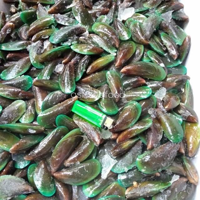 

Kerang hijau Utuh 1kg