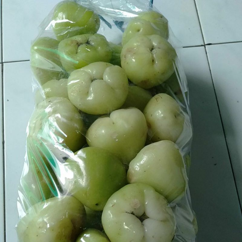 

Klampok Jambu Air buah segar minim order 3