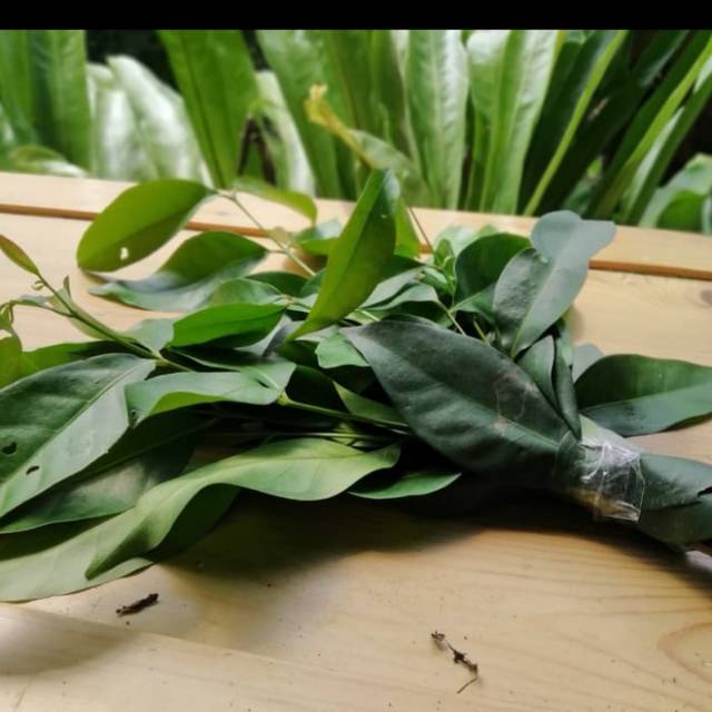 

Daun salam 100gr