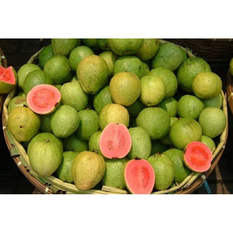 

Jambu merah biji segar 1 kg