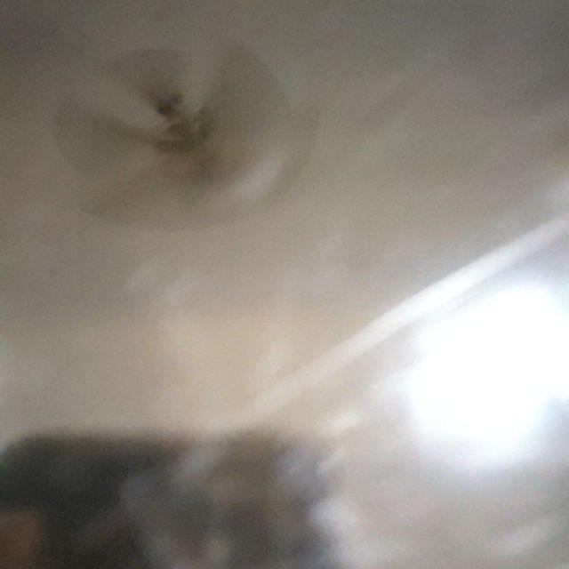 Anti Mosquito / Pyrethre 1000 Ml / 1l - Refill Fragrance Oil Aromaterapi Lampe Berger Maison Berger