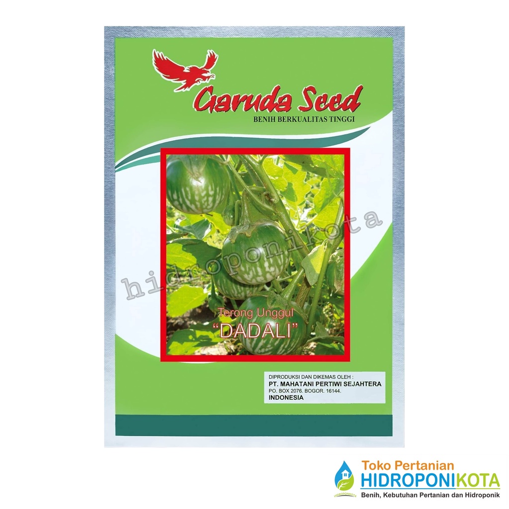 GS - benih TERONG LALAP DADALI isi 5 gram - bibit terong - garuda seed