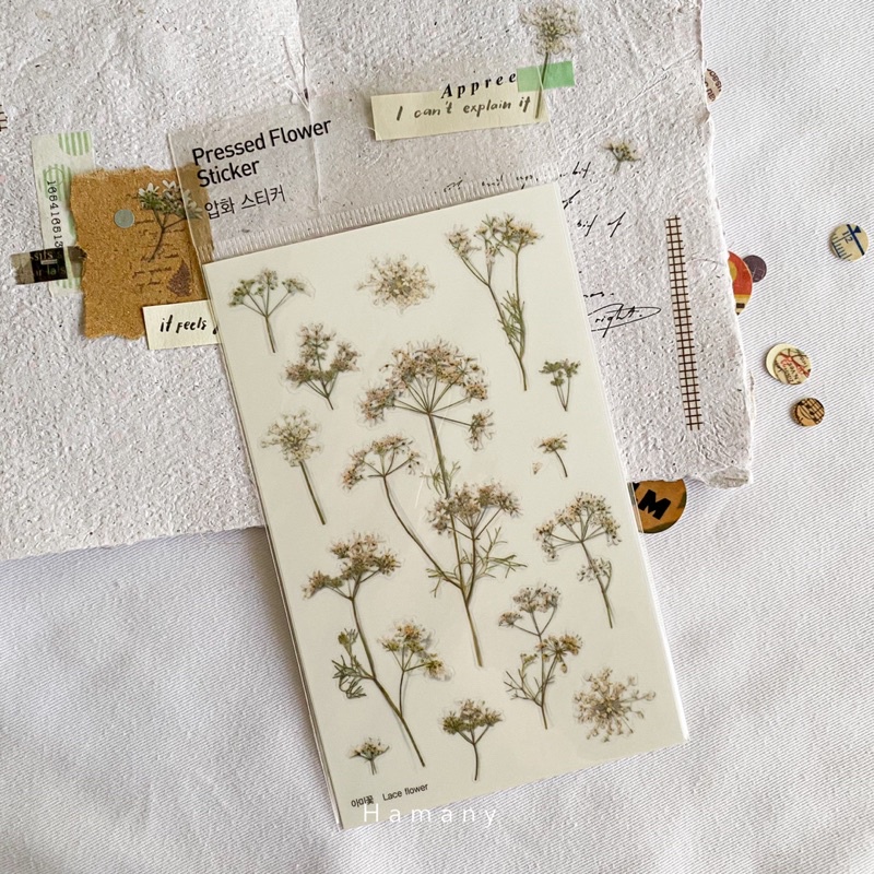 

APPREE Pressed Flower Sticker - Lace Flower (027)
