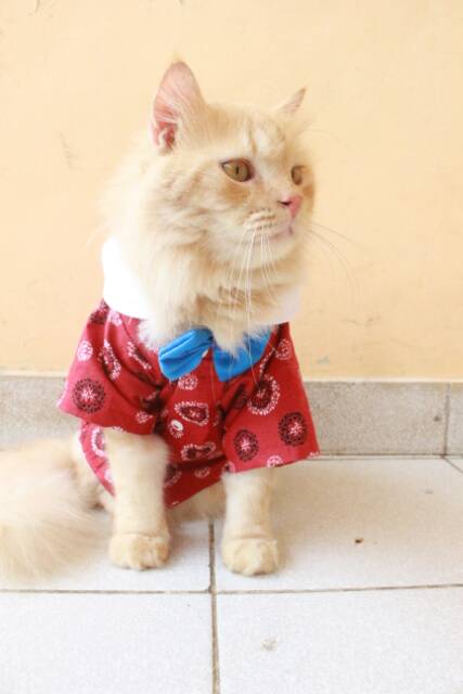 Kemeja chongsam untuk kucing warna merah baju kucing murah size S M L XL