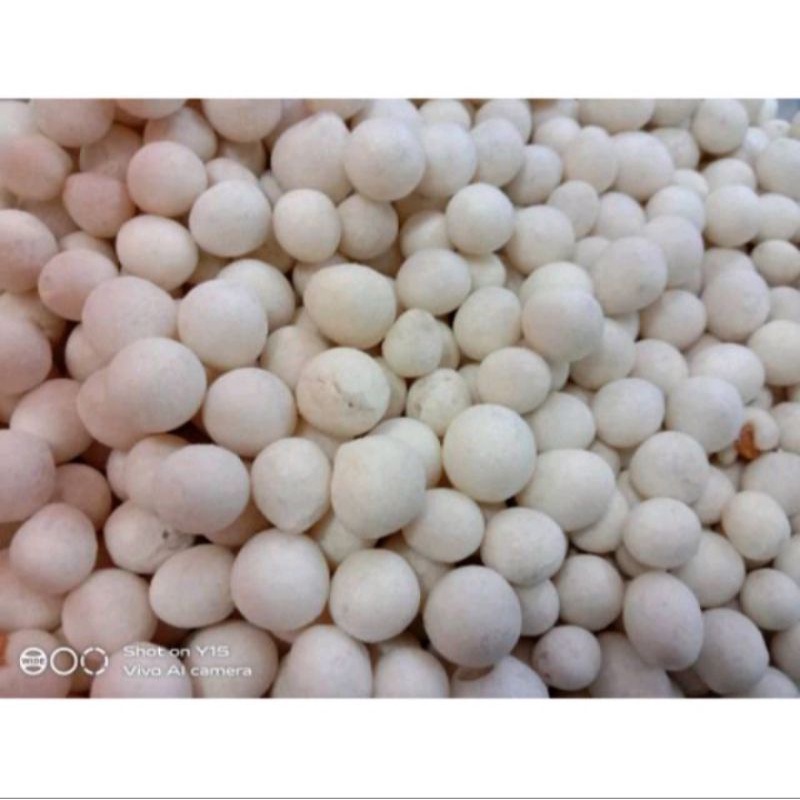 

Kacang Sanghai 250g