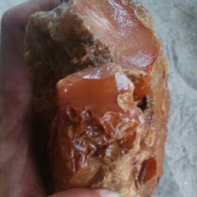 1,6 KG Cimpago Gading / Cempaka ( Rough / Batu Akik Natural - bukan bacan )