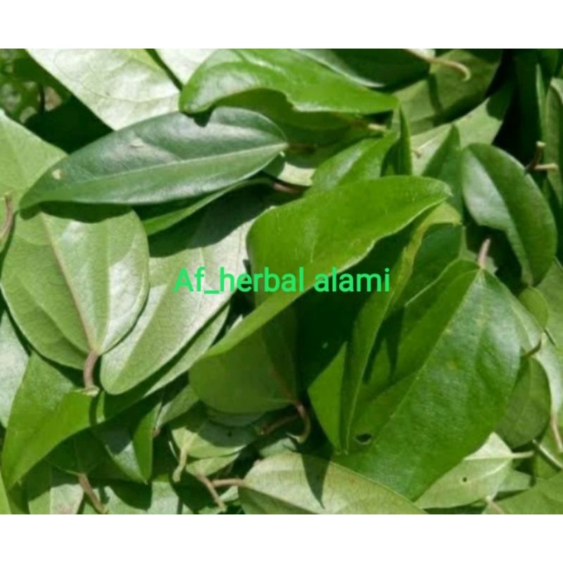 

DAUN CINCAU SEGAR 200g