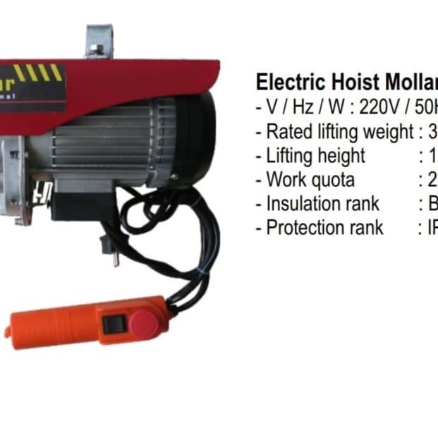ELECTRIC HOIST 600kg MOLLAR
