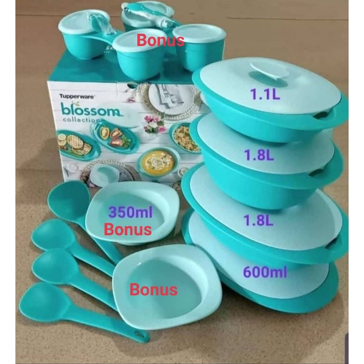 Blossom Collection Free Condimate/Blossom Collection Tupperware/Blomia Tupperware