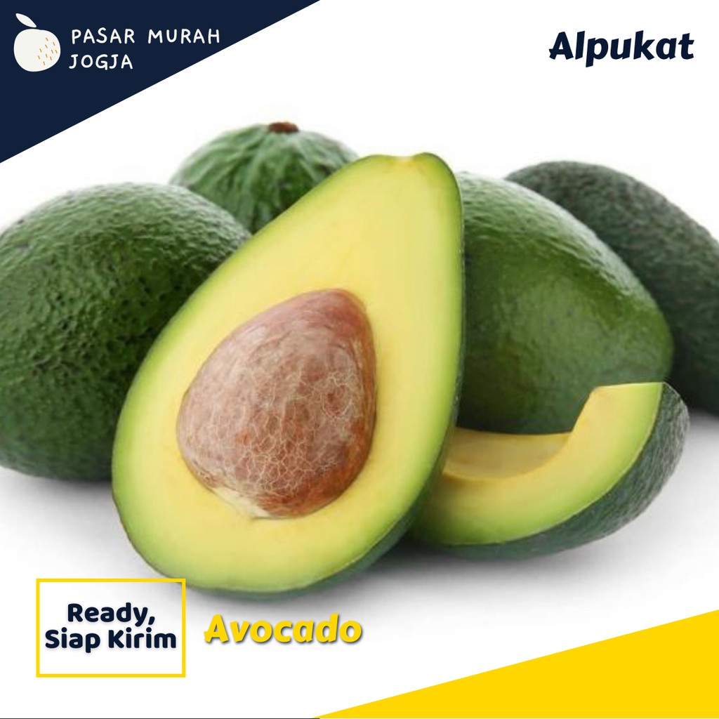 

Buah Alpukat Mentega Segar Buah Kiloan Segar Pasar Murah Jogja