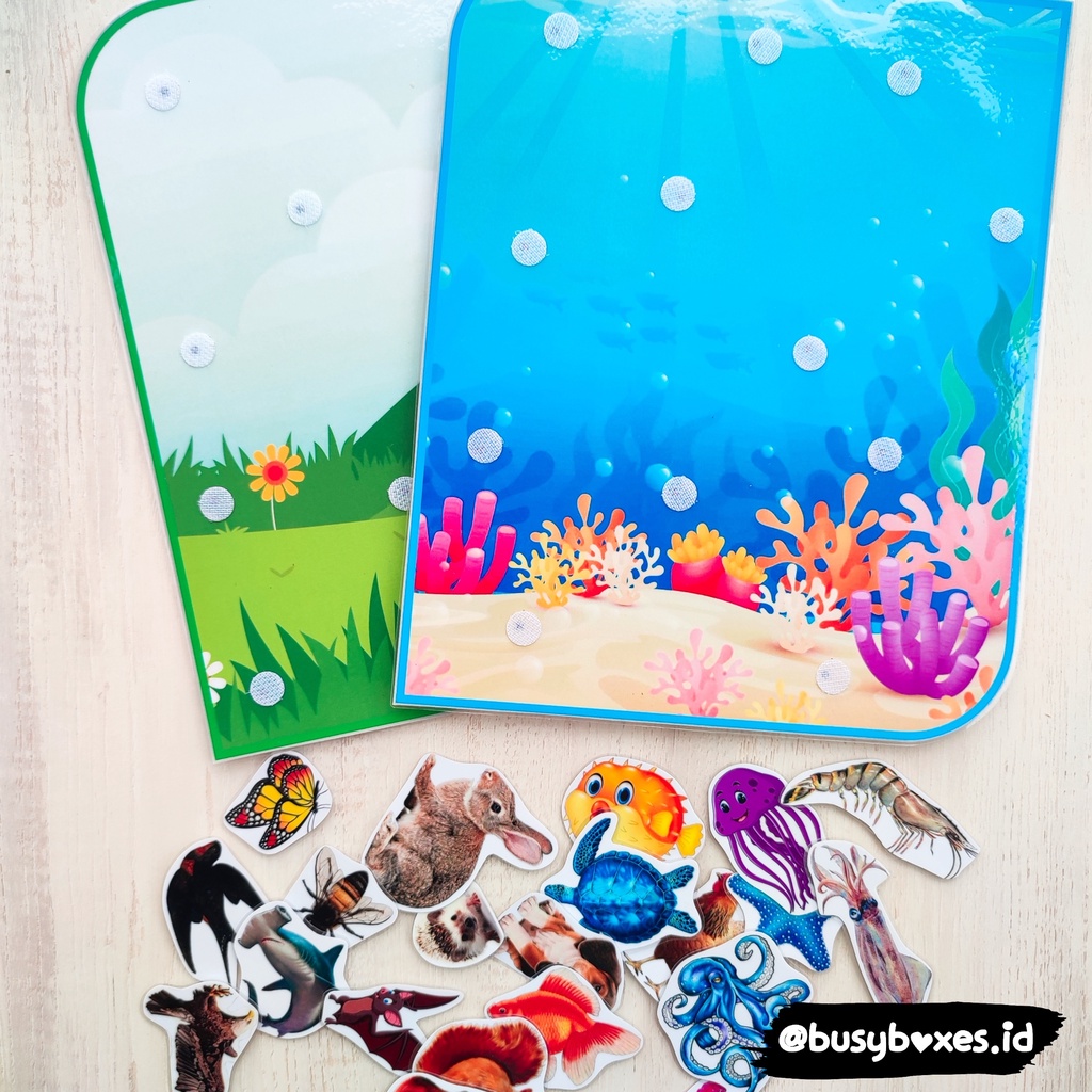 [busyboxes.id] Busypage Busy Page water or land - membedakan hewan laut darat -  paud preschool