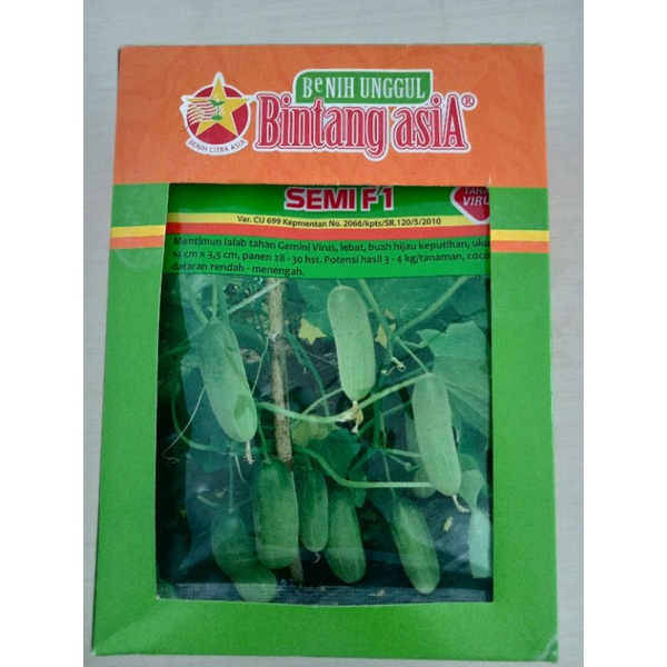 Benih Timun Semi F1 Bintang Asia Bibit timun