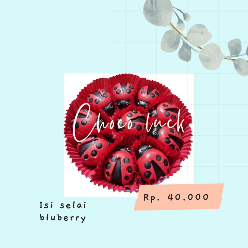 

CHOCO LUCK coklat karakter coklat blok kue coklat coklat isi selai coklat kepik/bug