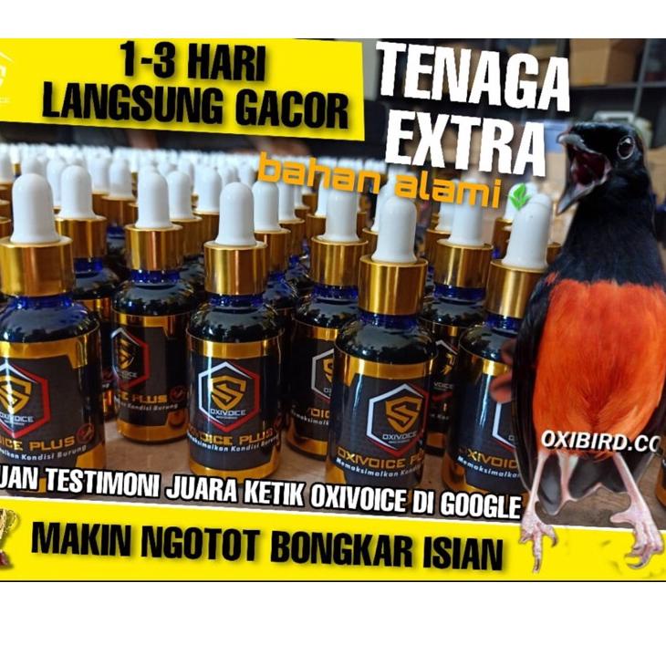 Hot Saleル OXI VOICE PLUS ✓