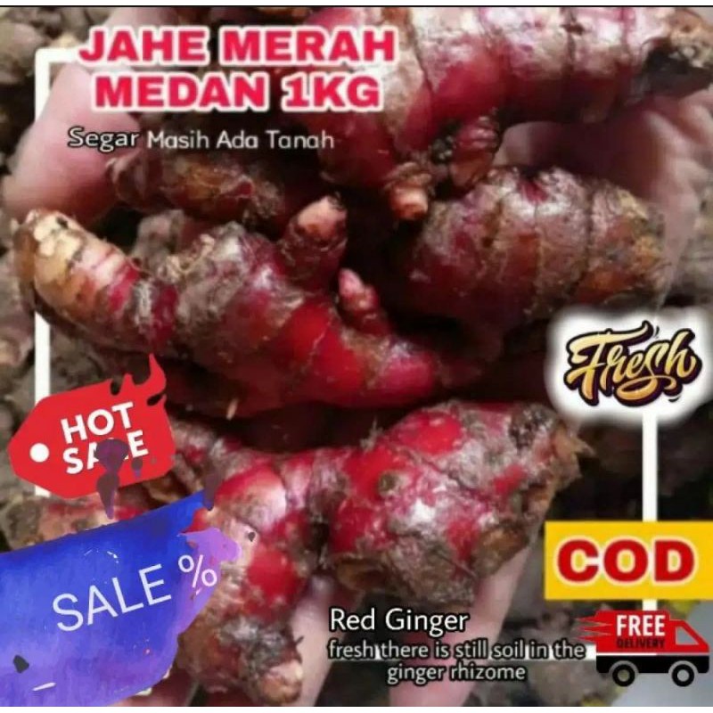

Jahe Merah Segar 1Kg Kualitas Super. (Red Ginger 100%Original)