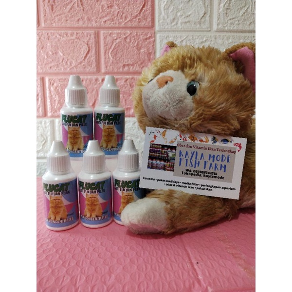 Flucat Obat Batuk Pilek Flu pada Kucing