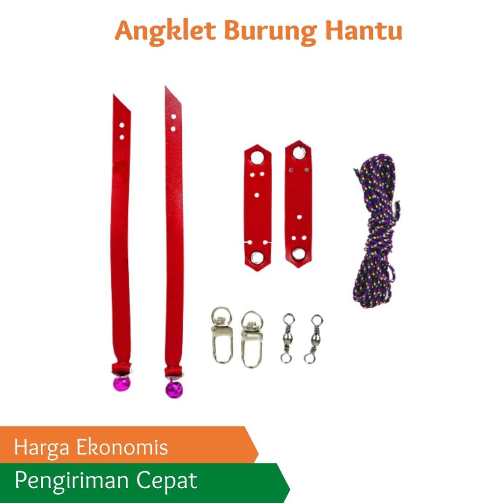 Anklet / AnKjess Burung Hantu Celepuk, Tali Burung Hantu Celepuk, Javan, Owlet dll