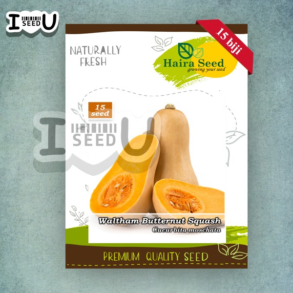 Haira Seed BIbit-Biji Labu Madu Winter Waltham