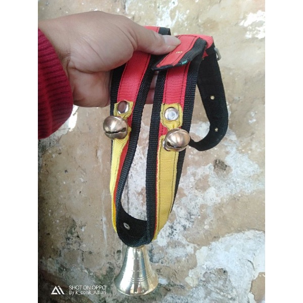 aksesoris kalung sapi