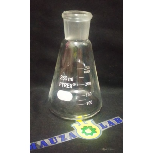 Erlenmeyer 250 ml asah ns 29/32