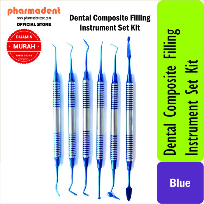 Dental Composite Filling Instrument Set Kit / Blue
