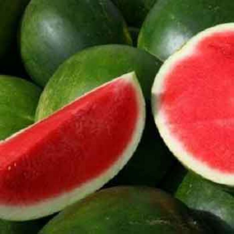 

Semangka Tanpa Biji 4 kg Fresh SAYUR GEDEBAGE PRAKTIS BANDUNG