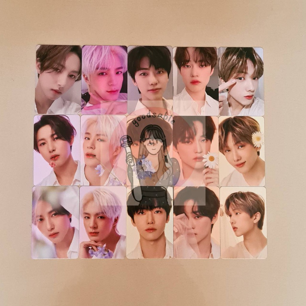[Ready Stock] Candylab Ver. 4 (V4) Photocard dan Postcard Standee Renjun, Jeno, Jaemin, Chenle, Jisu