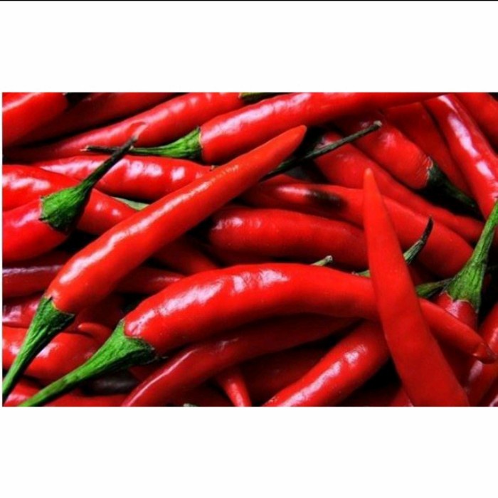 

CABE MERAH BESAR - 500gr