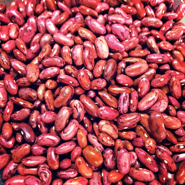 

Kacang merah