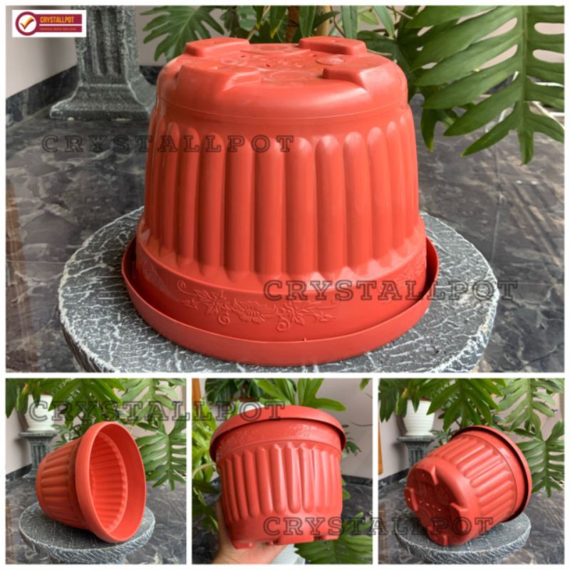 Pot bunga tanaman nkh merah bata 20cm - NKH MERAH BATA