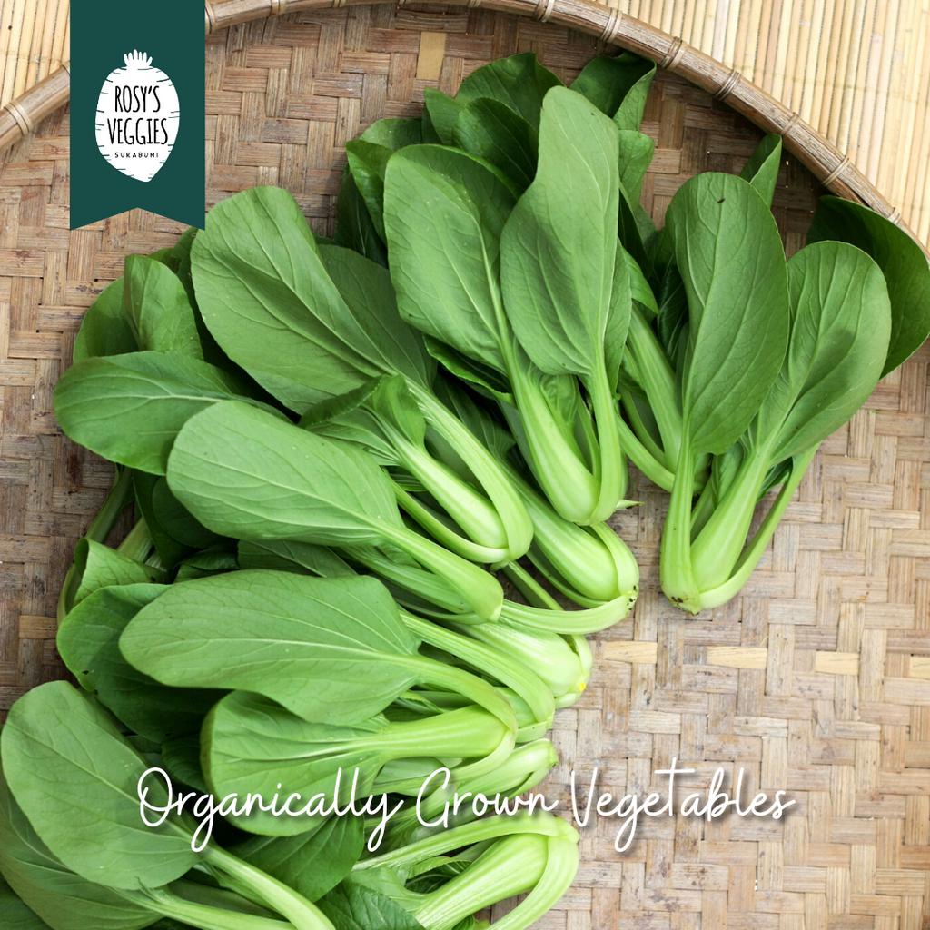 

Pakcoy Baby Organik | 200 gr