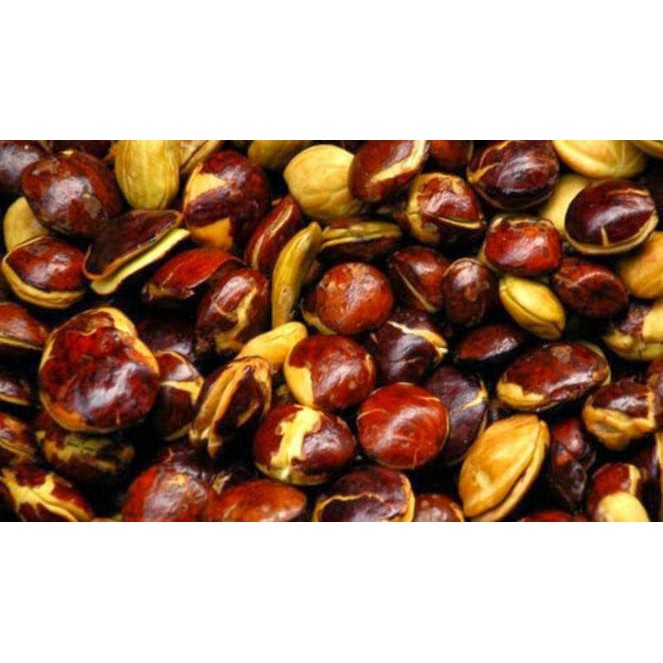 

Jengkol Segar 250 gram