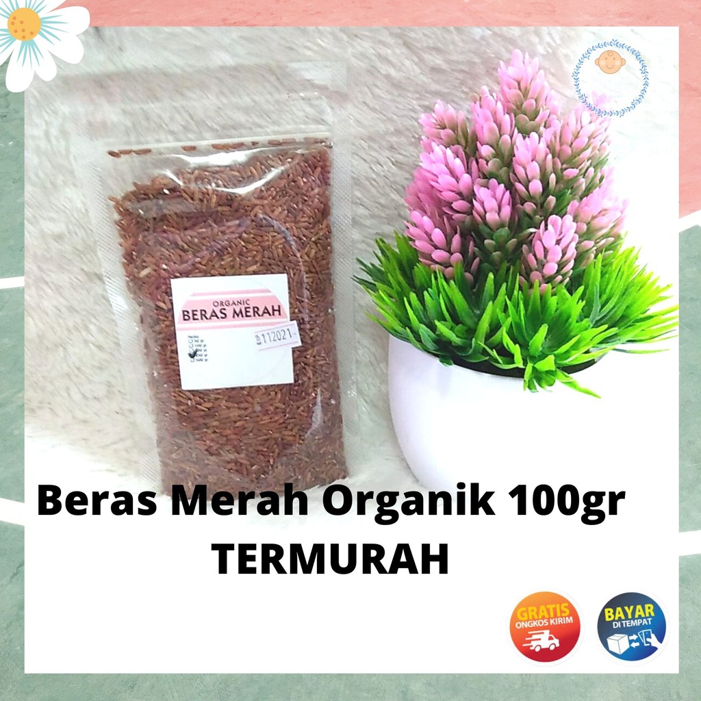 

[100 GR] BERAS MERAH / BERAS MERAH ORGANIK / BERAS MERAH MPASI