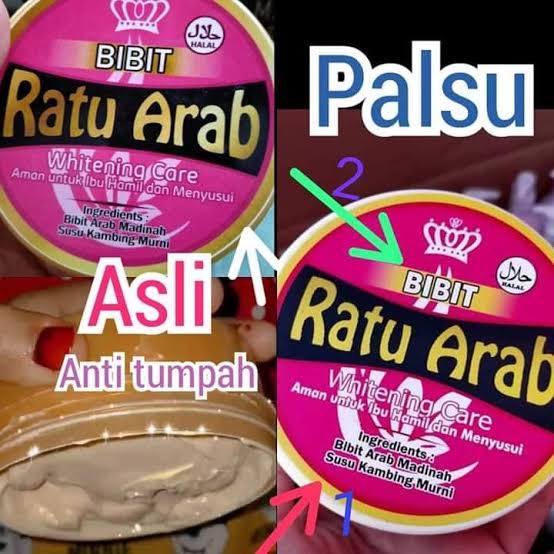 TERMURAH BIBIT RATU ARAB PEMUTIH ORIGINAL BISA BAYAR DI TEMPAT