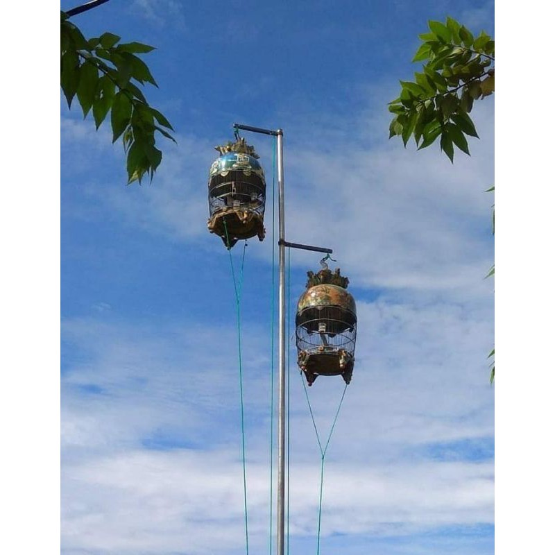 Kerekan burung perkutut