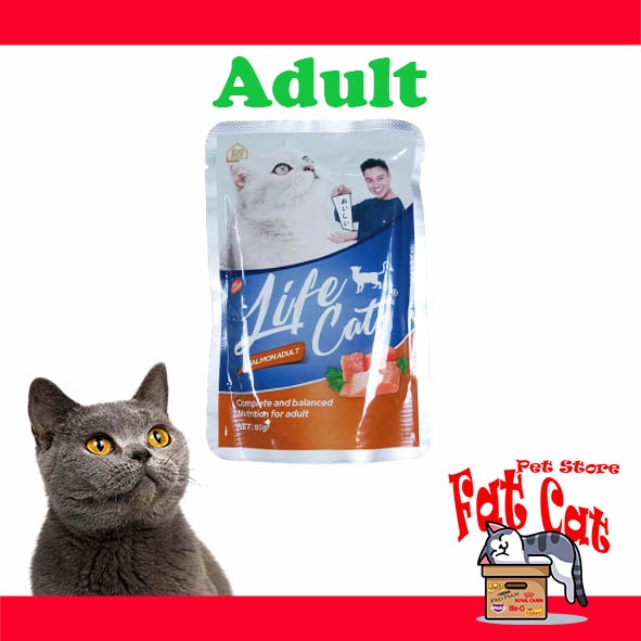 LIFE CAT POUCH SASET ADULT Makanan Kucing  basah All Variants (85gram)