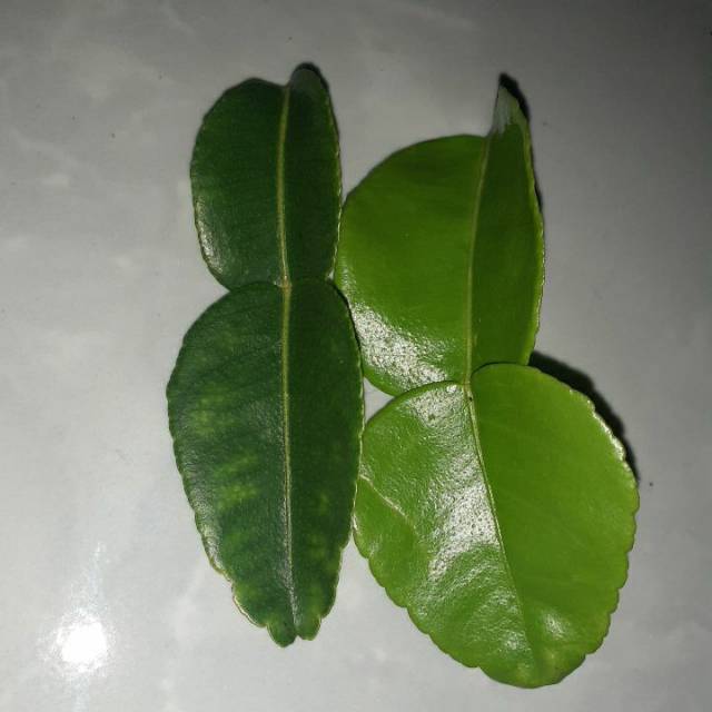 

Daun jeruk purut fresh 100 gram
