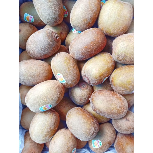 

kiwi gold zespri italy