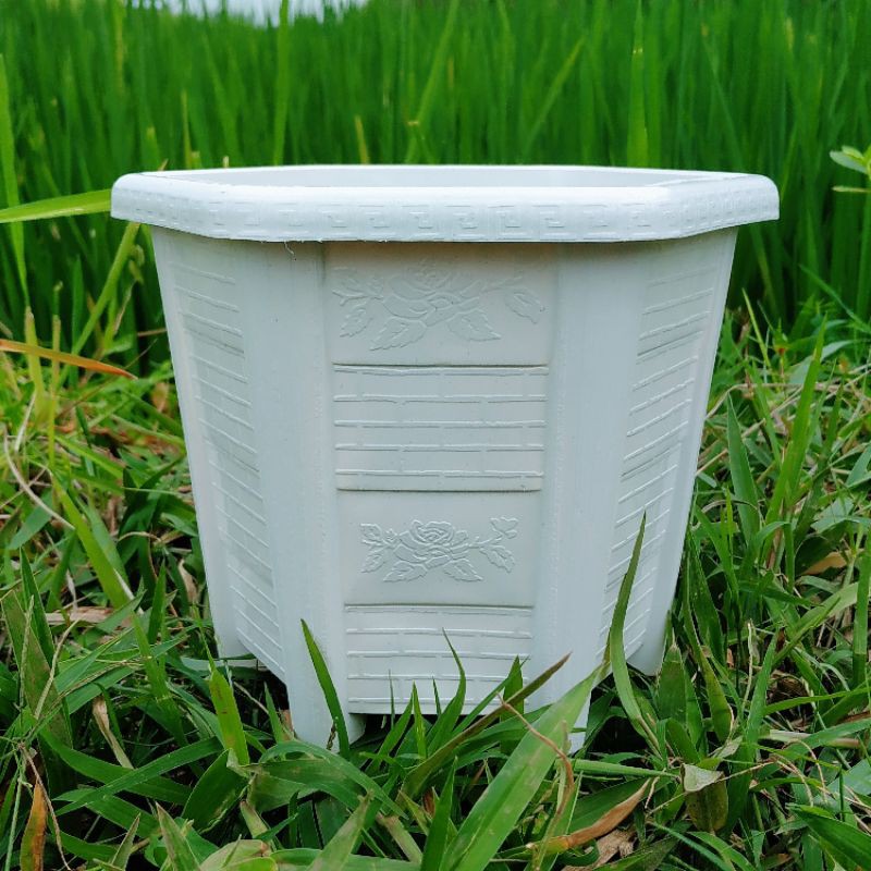 POT TANAMAN / BUNGA SEGI ENAM 17 LEGENDA PUTIH